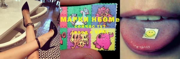стаф Аркадак