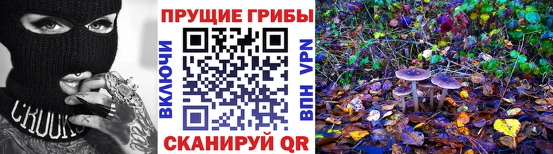 Галлюциногенные грибы ЛСД  Таштагол 